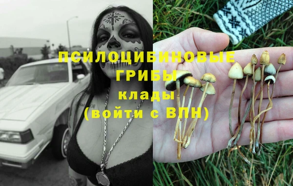 каннабис Богородск
