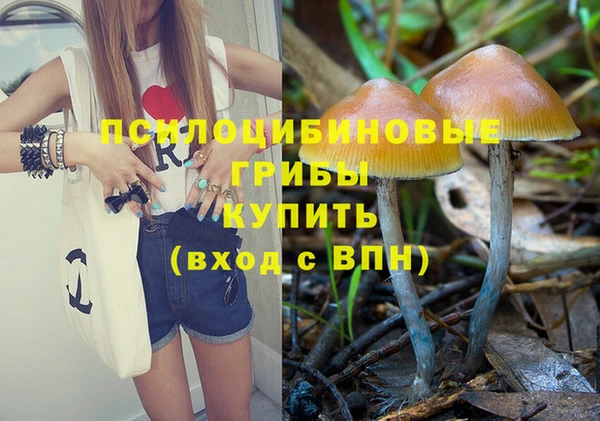 MESCALINE Богородицк